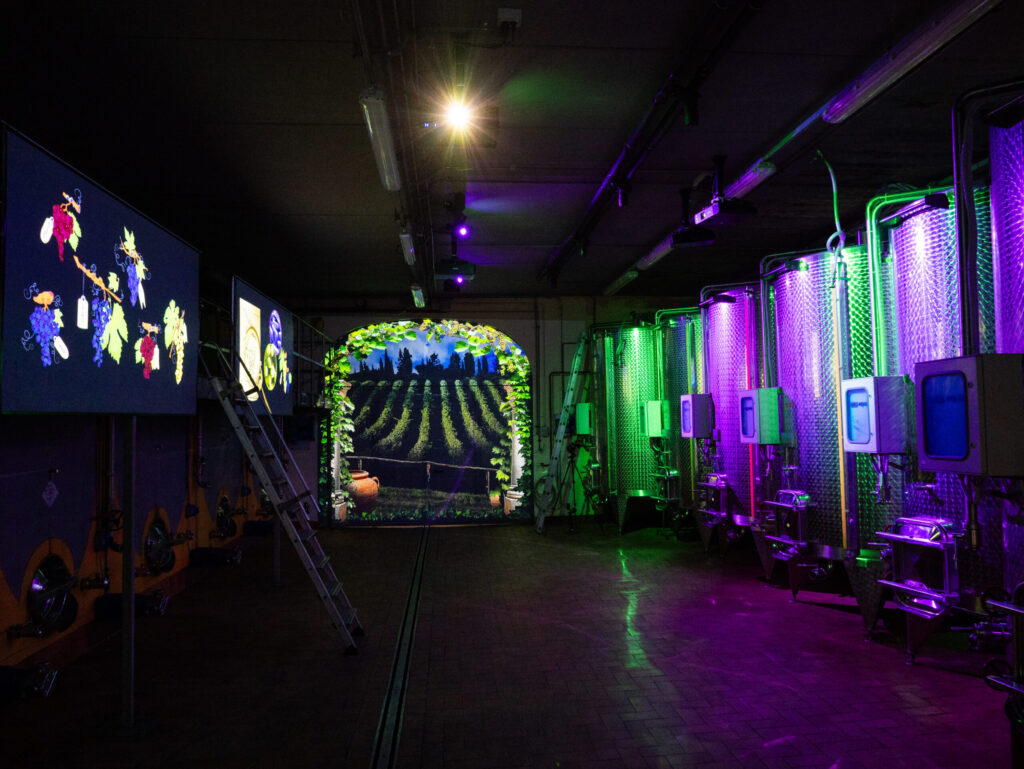 Wine cellar with stainless steel tanks, colorful lighting, and vineyard themed projections