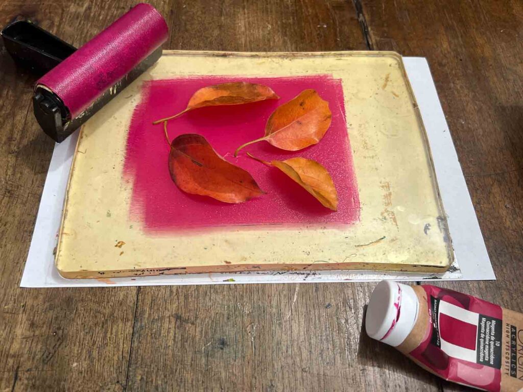 Autumn leaves arranged on a pink acrylic gel plate at a kids art class Florence, Fatacadabra