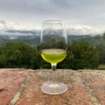 Chianti cooking with olive oil tasting featuring a glass of fresh extra virgin olive oil overlooking the Chianti hills
