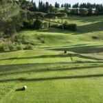 Sunlit fairway with pines and cypress trees at a golf course in Chianti.