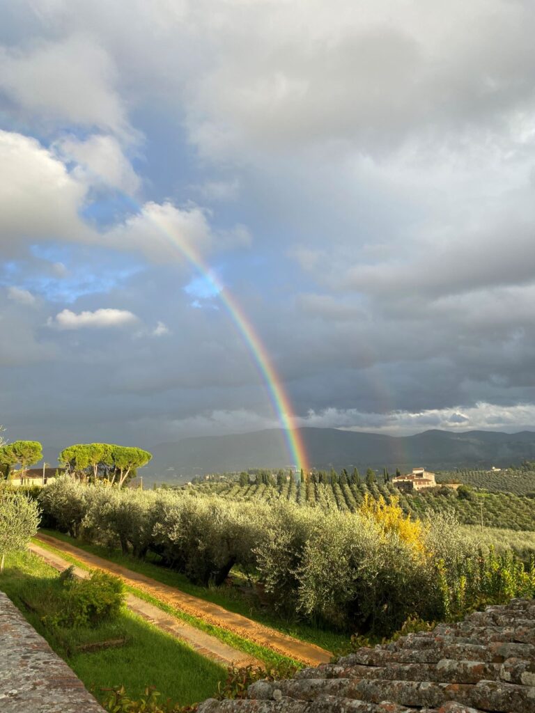 Rainbow over olive groves and hills in the Chianti countryside