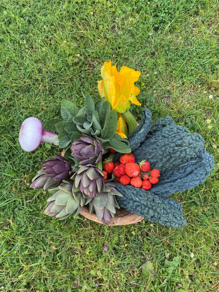 Basket of seasonal vegetables and strawberries from the family estate garden