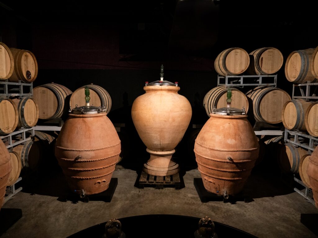 Terracotta amphorae and oak barrels inside a Chianti winery cellar.
