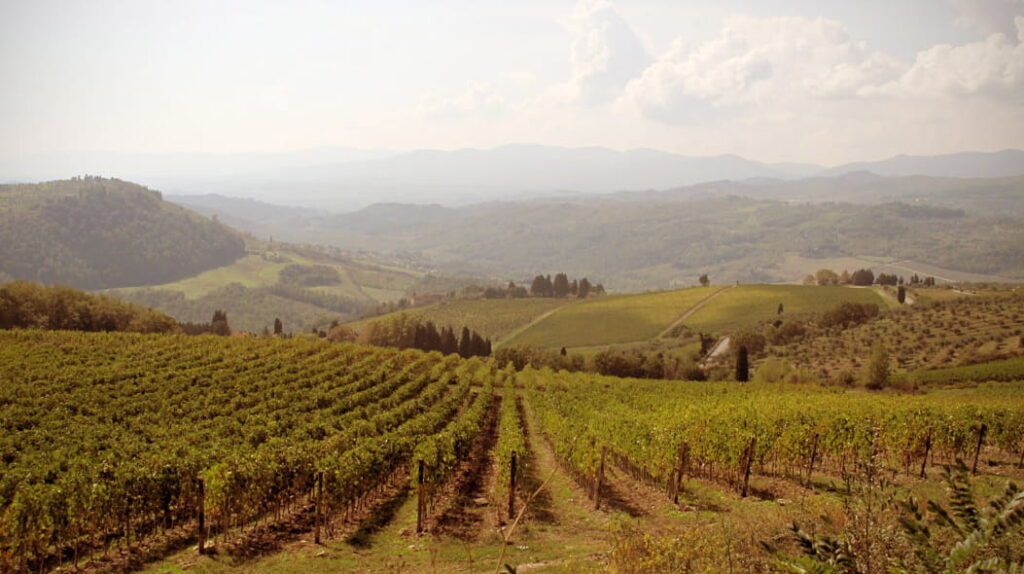 Wide panoramic view of Chianti Rufina vineyards and hills near Pelago, seen on the horseback lunch tour from Florence