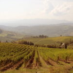 Wide panoramic view of Chianti Rufina vineyards and hills near Pelago, seen on the horseback lunch tour from Florence