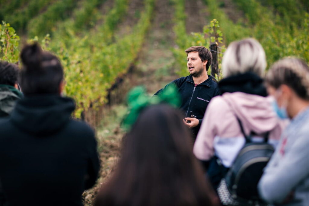 guide explaining vineyard during Chianti wine tour in Tuscany