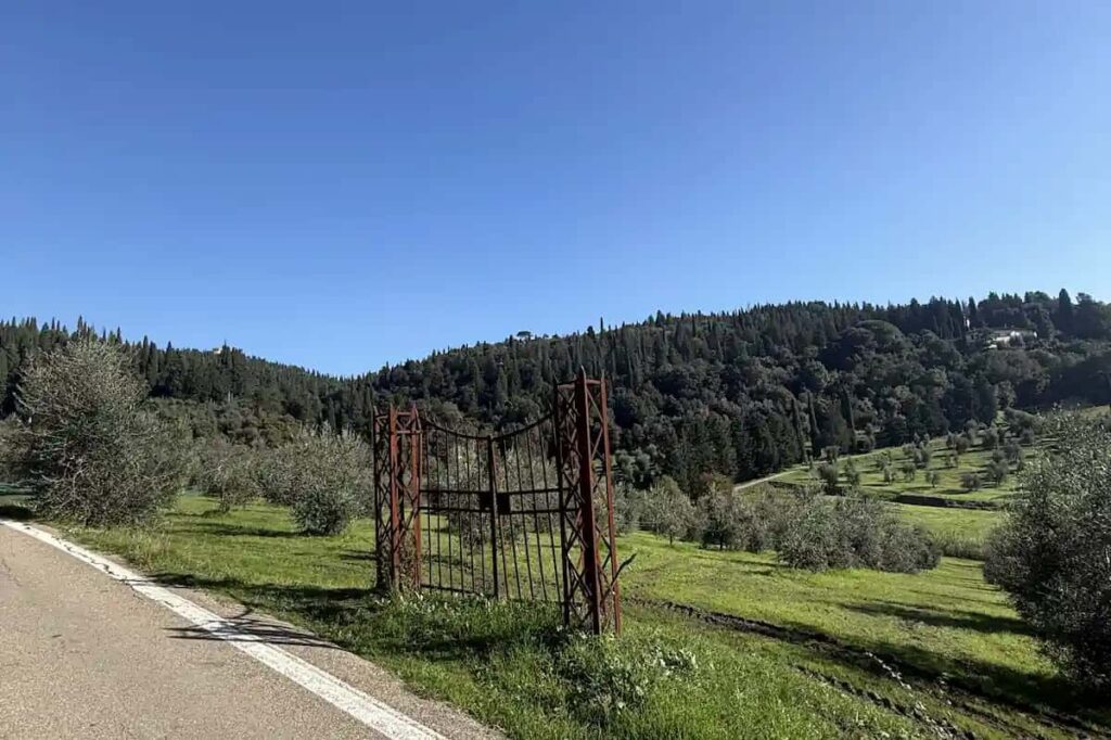 Quiet road through olive groves on the e-bike tour from Florence to Fiesole