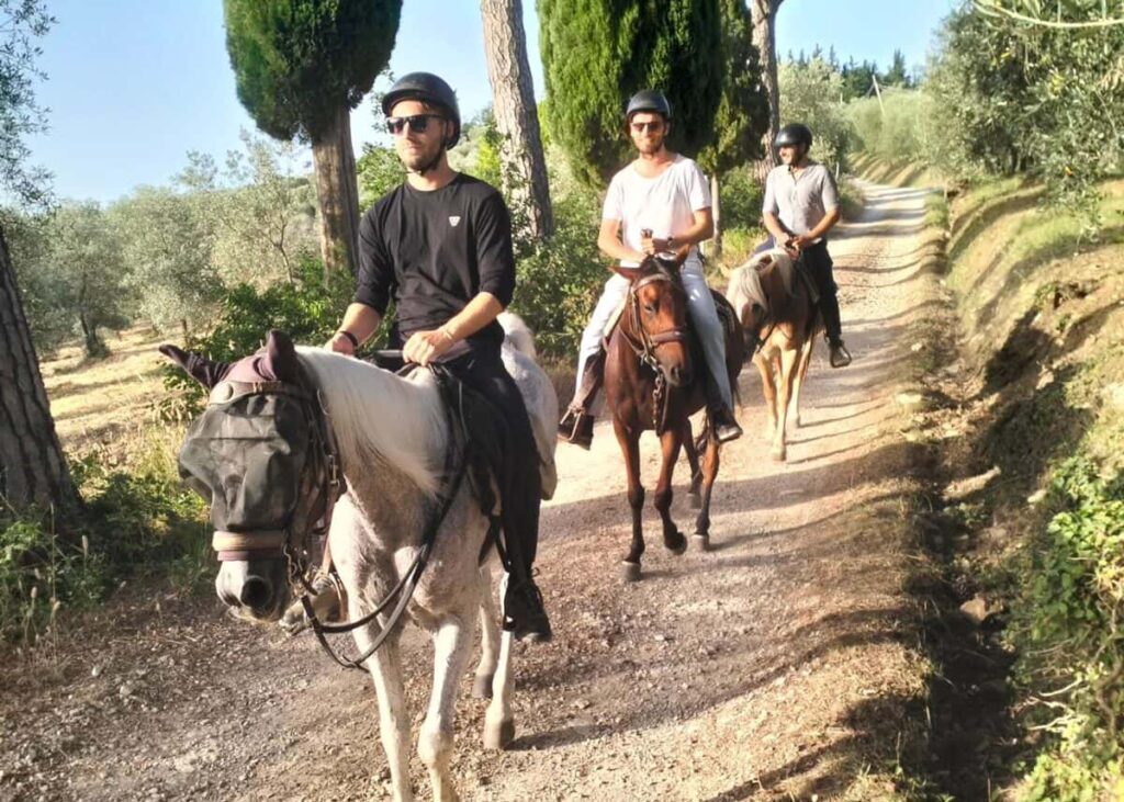 Three riders on a guided horseback ride through an olive grove lane in Chianti on the tour from Florence