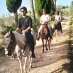 Three riders on a guided horseback ride through an olive grove lane in Chianti on the tour from Florence