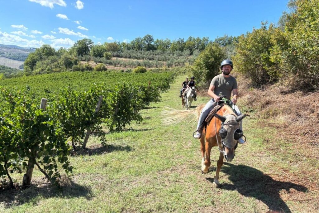 horseback riding along vineyard trails in Tuscan countryside