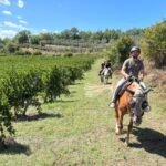 horseback riding along vineyard trails in Tuscan countryside
