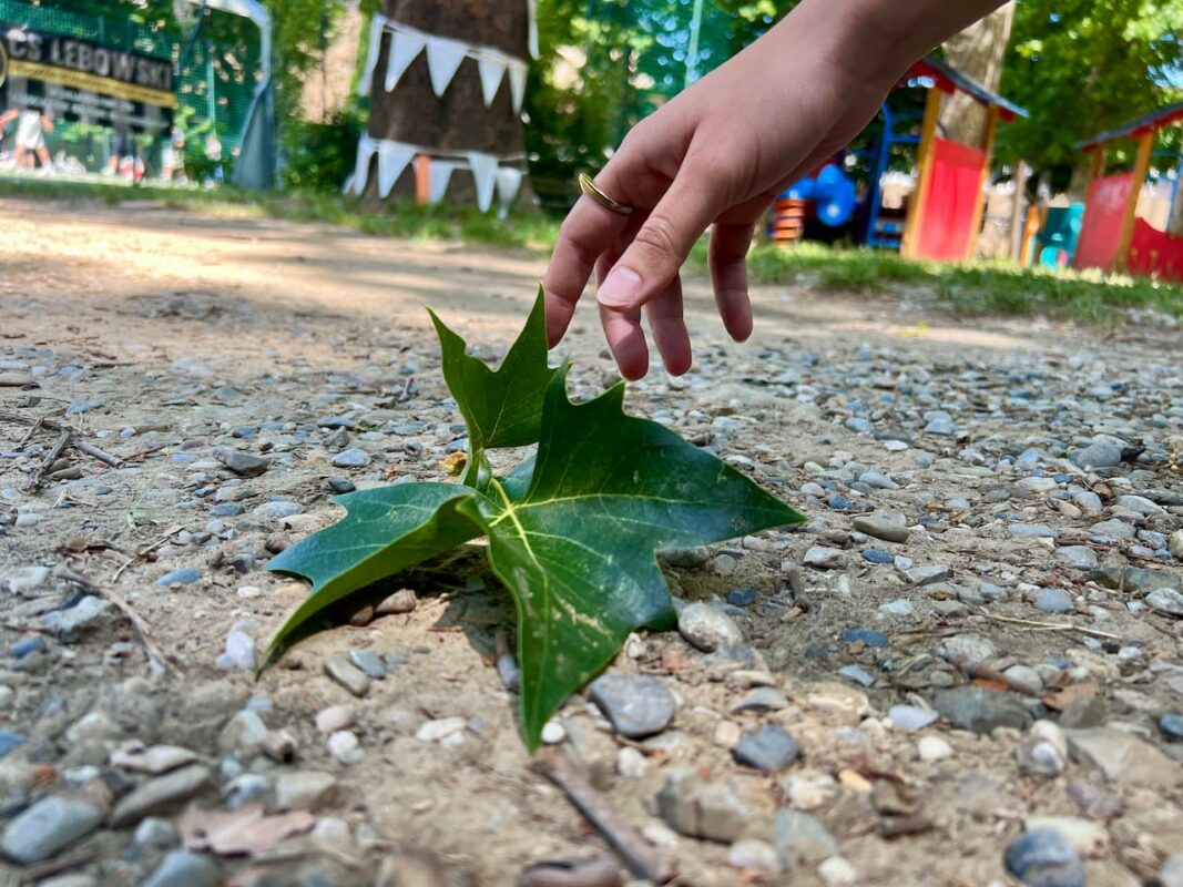 Hand about to collect a large leaf from the ground during the nature walk at a kids art class Florence