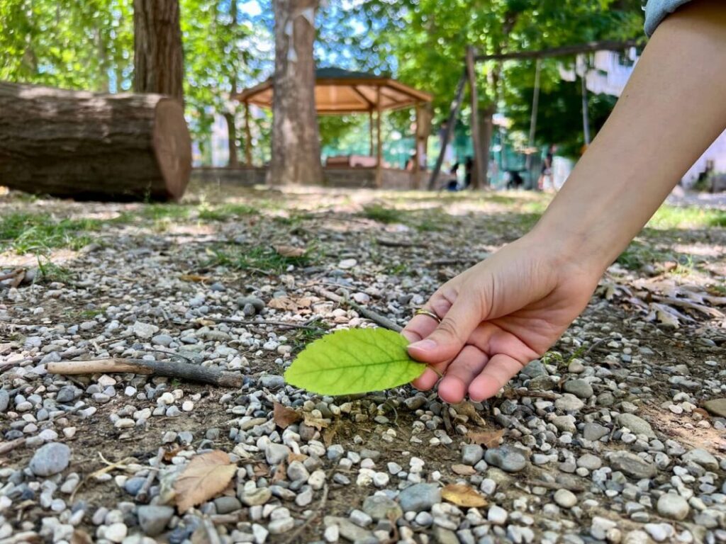 Child's hand picking up a green leaf from a park path during the nature walk at an art workshop for kids Florence